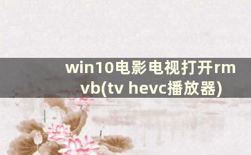 win10电影电视打开rmvb(tv hevc播放器)